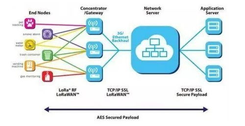 航順芯片 醫療芯片出貨領跑，物聯網賽道聚焦智慧計量新藍海