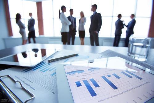 信息化浪潮下的企業(yè)信息化管理 概念、內(nèi)涵與技術(shù)咨詢的橋梁作用